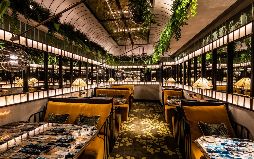 Mott 32