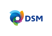 DSM Logo