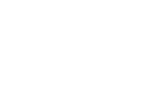 Dassault Logo